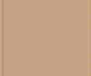 Camel 641