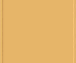 Mimosa 642