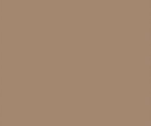Coloris Caramel 22