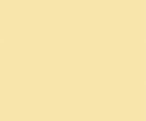 Coloris Beurre 233