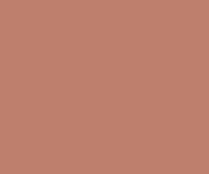 Corail 342